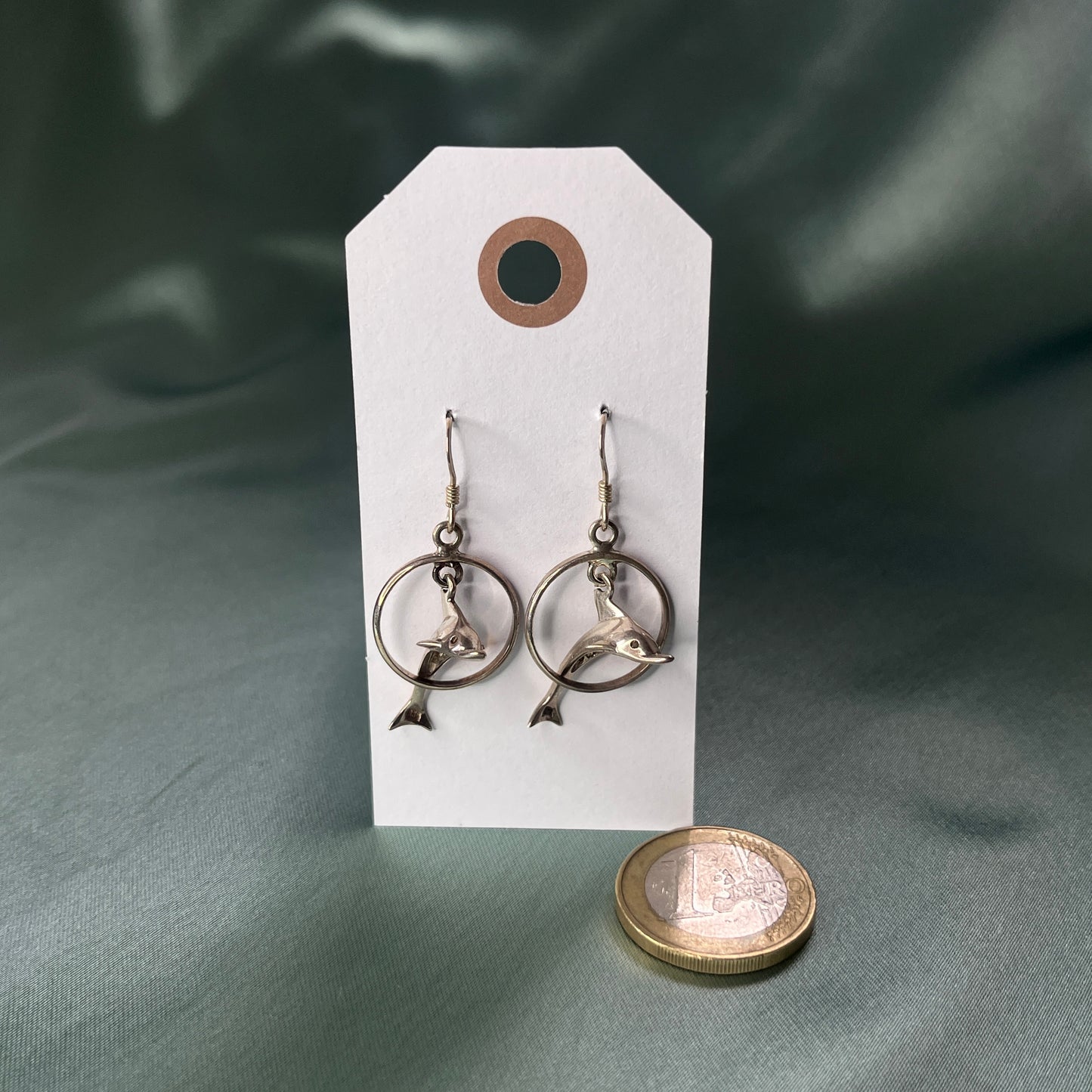 Silver Dolphin in Hoop Earrings