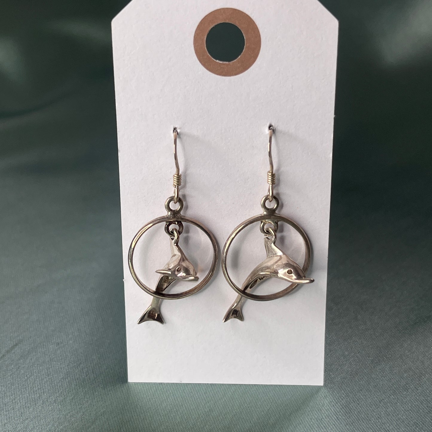 Silver Dolphin in Hoop Earrings